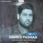 دانلود آهنگ جدید حامد پاشا به نام تنهایی